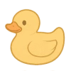 Canard bébé